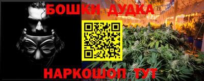 прущий лед Бийск