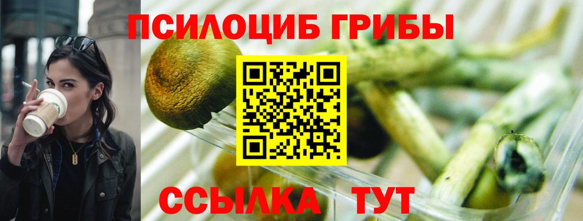 Бахчисарай  дарнет шоп  Вход с VPN  Галлюциногенные грибы GOLDEN TEACHER 